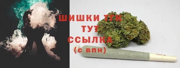 хмурый Балабаново