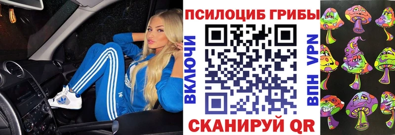 Псилоцибиновые грибы Psilocybine cubensis  Купить  Армянск 